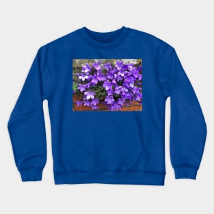 Siberian Bellflower on Garden Wall Crewneck Sweatshirt